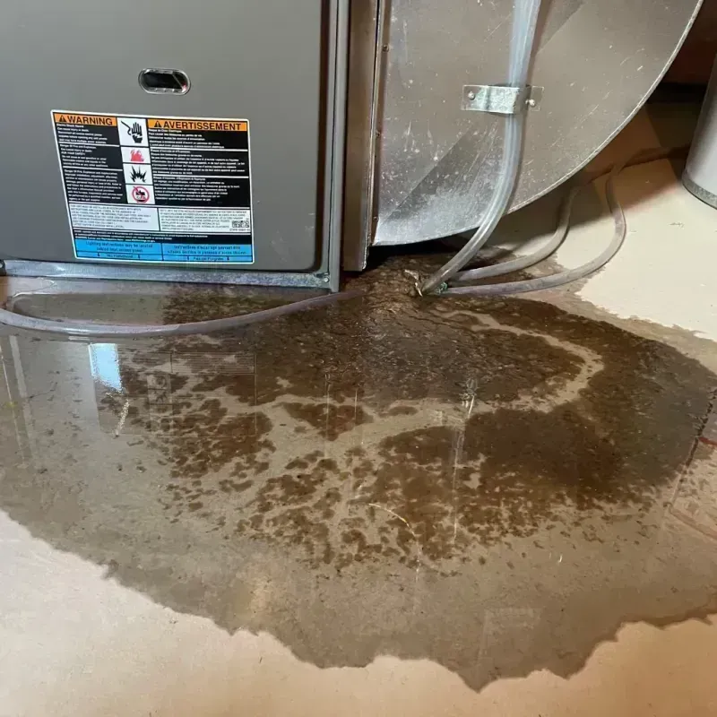 Appliance Leak Cleanup in Concordia Parish, LA